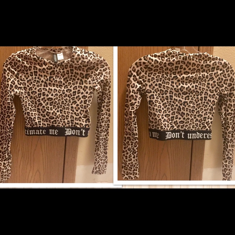Leopard Long Sleeve Crop Top
